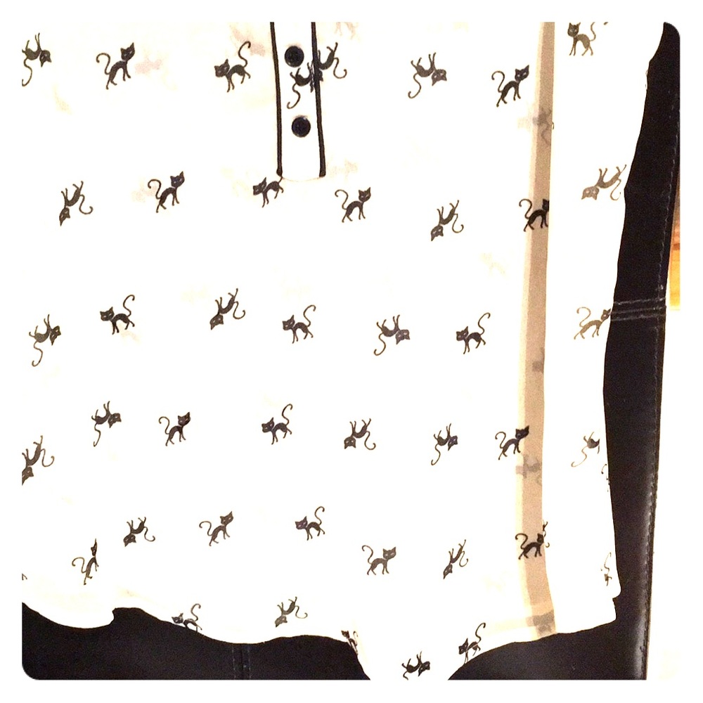 Cat sheer top. Small runs like  a Large